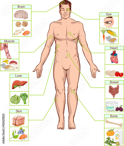 Vector illustration of a Healthy lifestyle, and nutrition concep