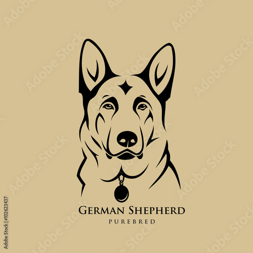 German Shepherd dog © murphy81