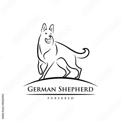 German shepherd dog 