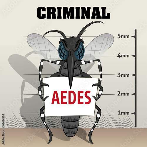 Aedes aegypti mosquitoes sting in jail, holding poster