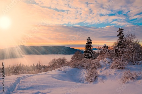 winter sunset Christmas landscape