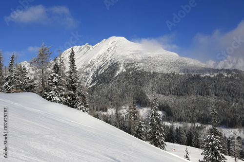 Winter scene in mountains © Pavlo Klymenko