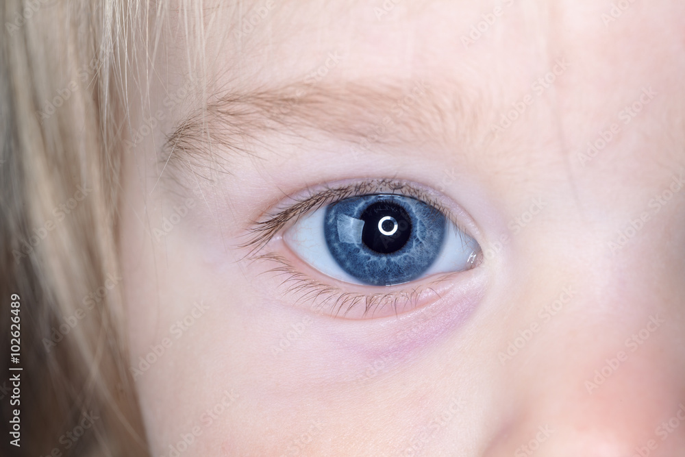 Fototapeta premium baby blue eyes