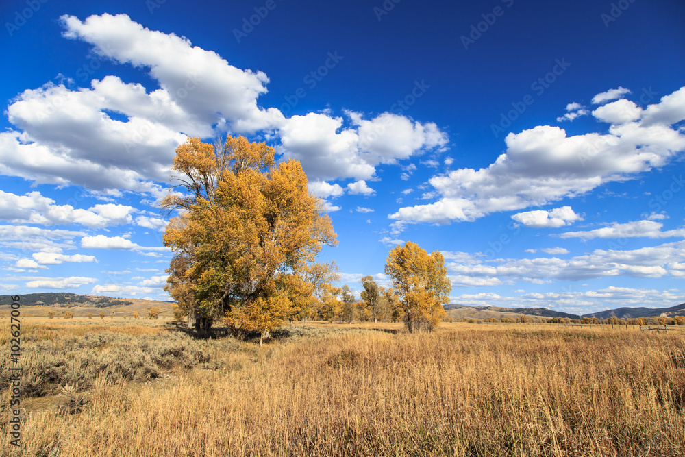 Obraz premium Beautiful autumn day