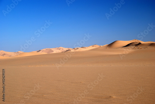 Wide Dunes