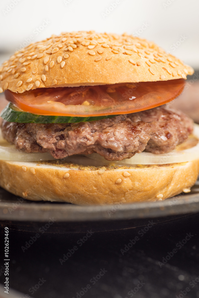 Tasty and appetizing hamburger cheeseburger Tasty and appetizing hamburger cheeseburger