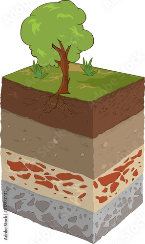vector image of a the soil layer