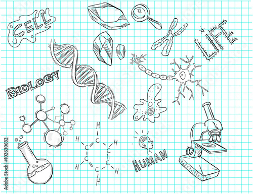 vector illustration of a hand drawn laboratory icon