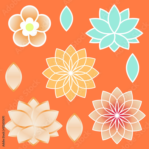 Sacred geometry elements Venus Flower and Lotus