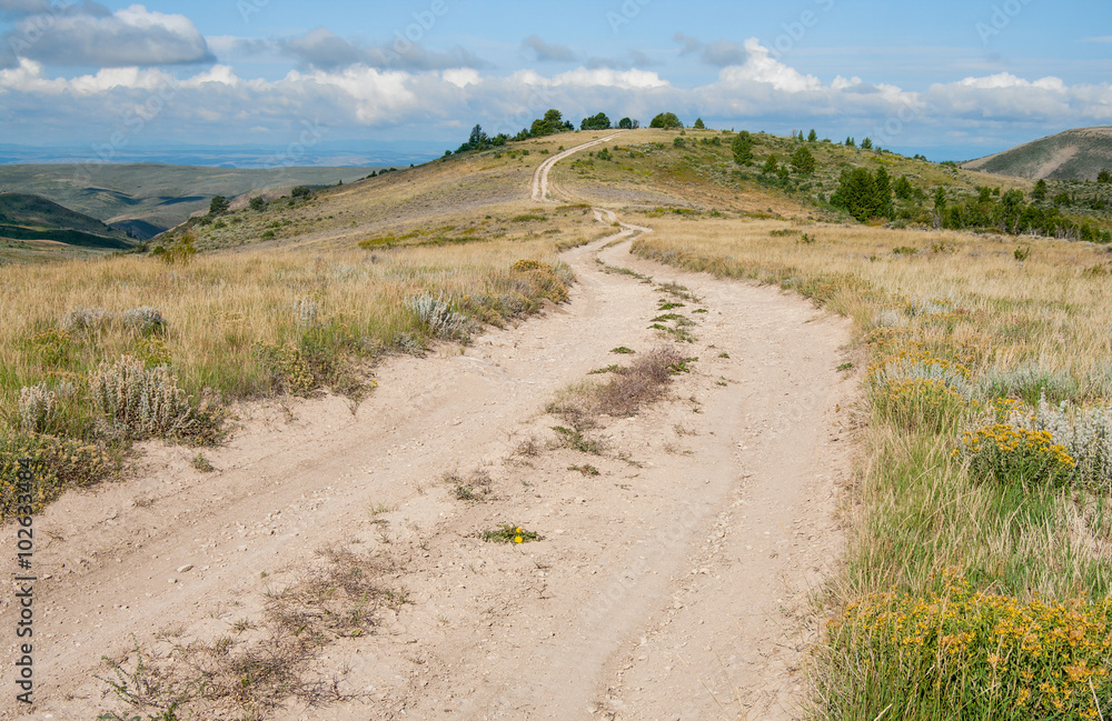 Dirt Road in Wyoming: A truck trail leads into the hills of southwest Wyoming.
Dirt Road in Wyoming: A truck trail leads into the hills of southwest Wyoming.