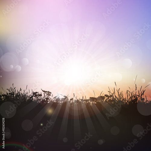 Silhouette of grass and plants against a sunset sky