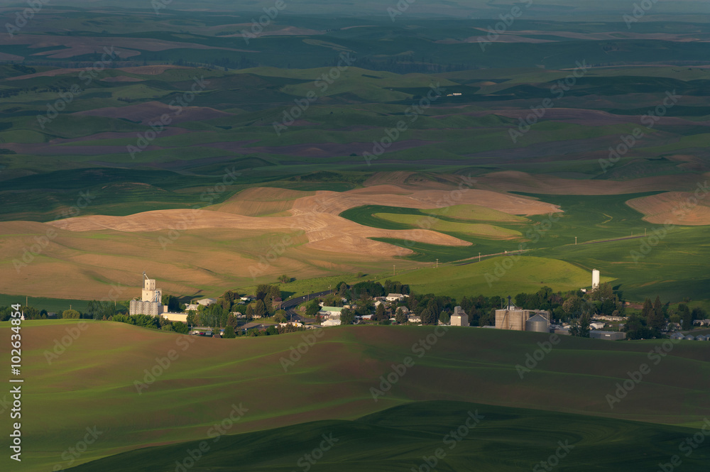 Washington Palouse. The palouse area is a major agricultural area, primarily producing wheat and legumes. The picturesque loess hills of the the Palouse Prairie can be viewed from Steptoe Butte Park.