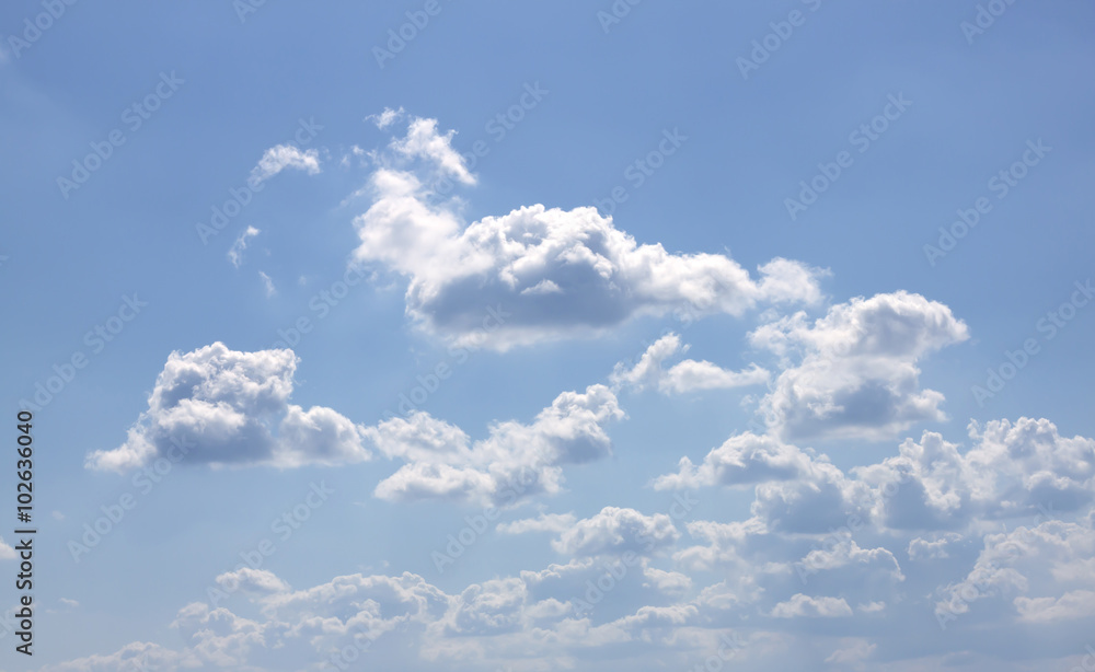 The vast blue sky The vast blue sky