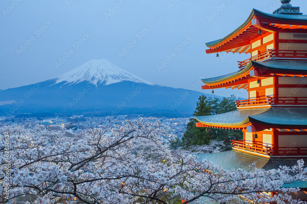 Mountain Fuji and red pagoda in cherry blossom sakura season