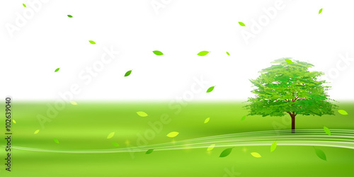 木　葉　新緑　背景