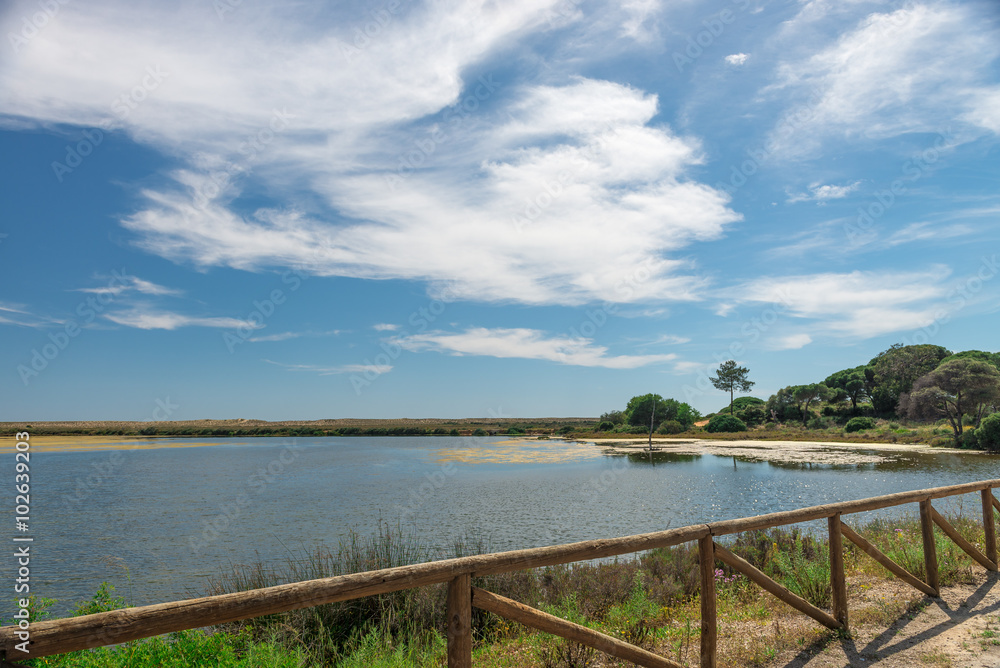 Quinta do Lago landscape, in Algarve, Portugal