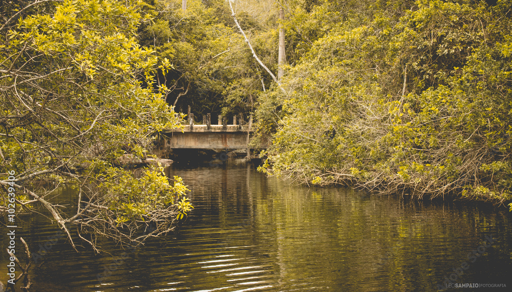 Ponte Sobre Rio - Ilha Grande