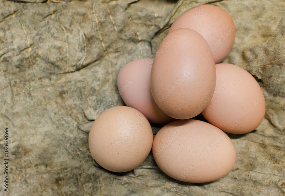 Fresh eggs in nest Fresh eggs in nest