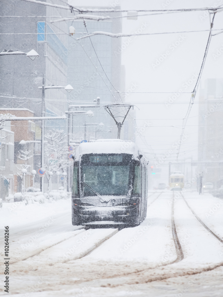 Obraz premium Toyama Railway and Toyama city in snow day 