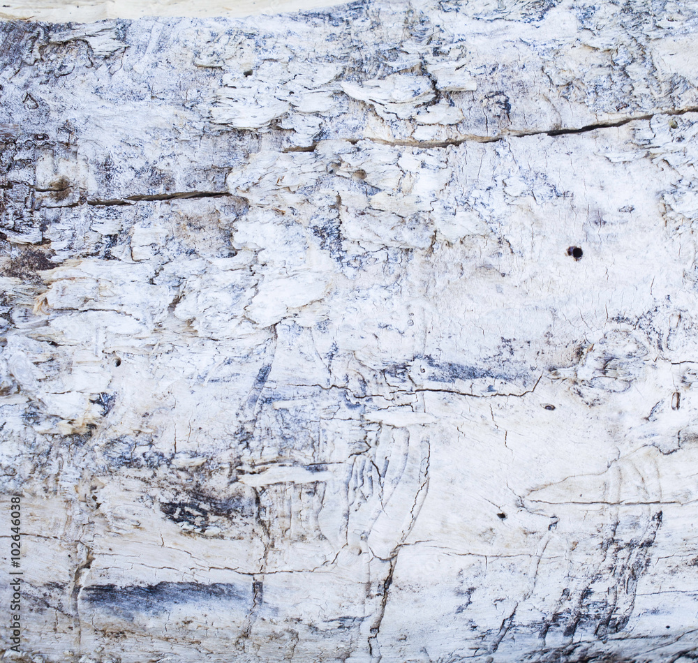 the texture of the wall of building outdoor for background the texture of the wall of building outdoor for background