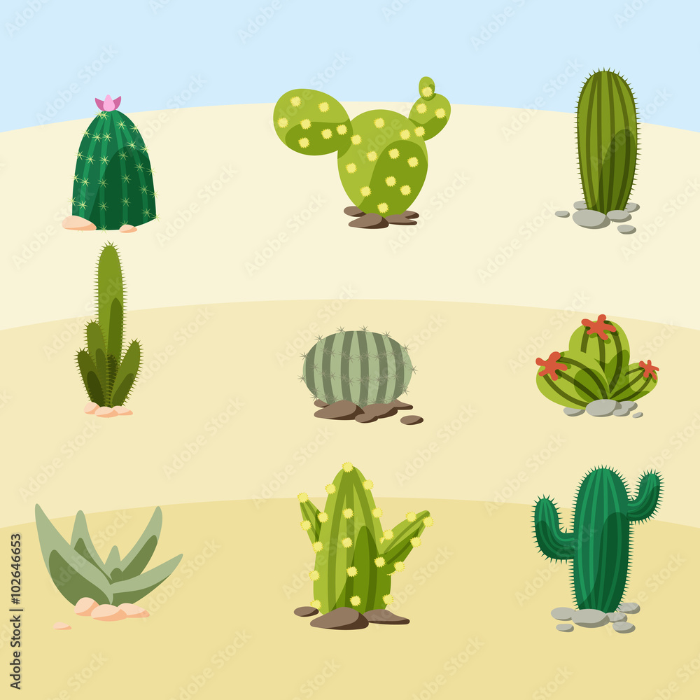 Cactus vector illustration
Cactus vector illustration