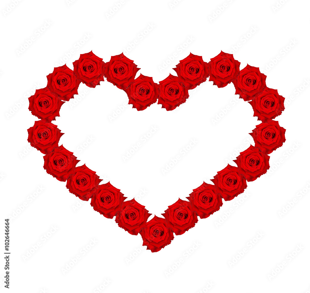 Red rose isolated on white background, Heart shape