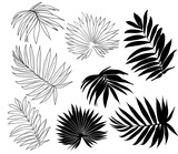 Set of tropical palm leaves, black silhouettes