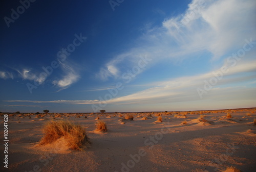 Cloudy Desert Sky