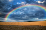 Stunning countryside landscape wheat field with rainbow in Summe
