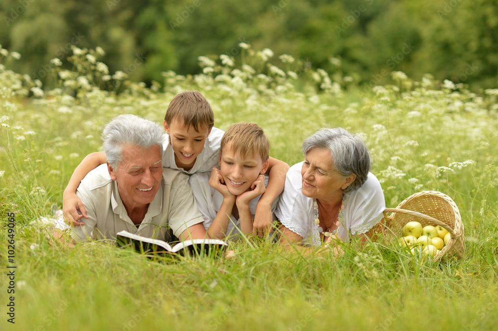 Fototapeta premium Rodzina z książką na letniej trawie