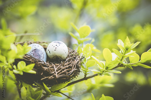 Easter eggs