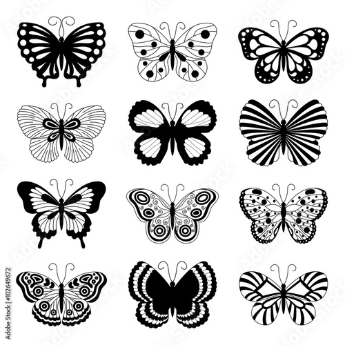 butterfly icons