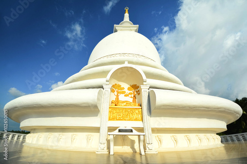 Japanese Peace Pagoda In Rumassala, Sri Lanka photo