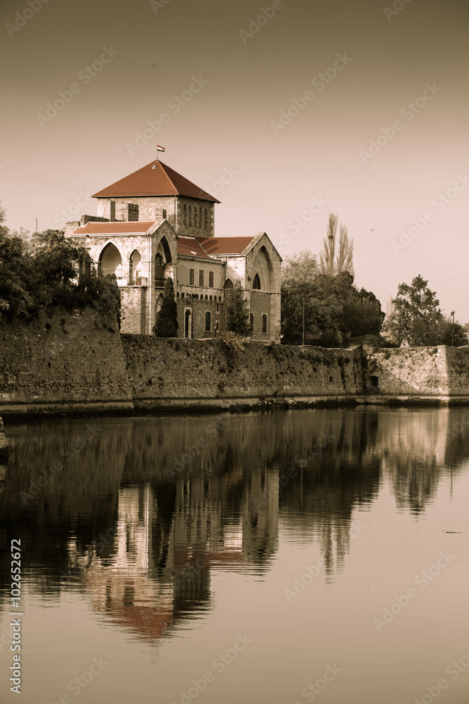 Castle of Tata Castle of Tata