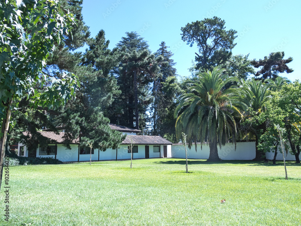 Naklejka premium Wine Farm in Chile