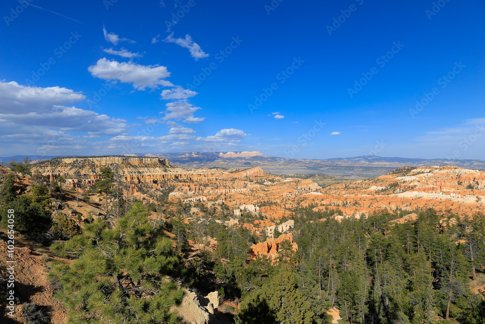 Obraz premium Spring break at Bryce Canyon