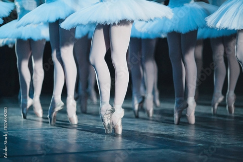 ballet swan lake. ballet statement. ballerinas in the movement.