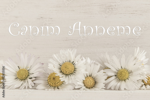 mother's day greeting in Turkish (to my mother)