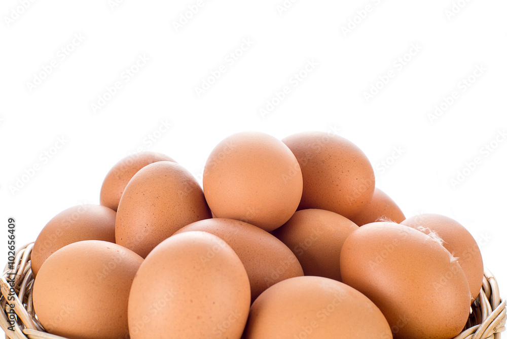 Egg collection isolated on white background Egg collection isolated on white background