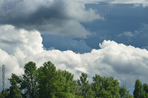 Tableau sur toile Cloudscape with ornamental clouds and trees