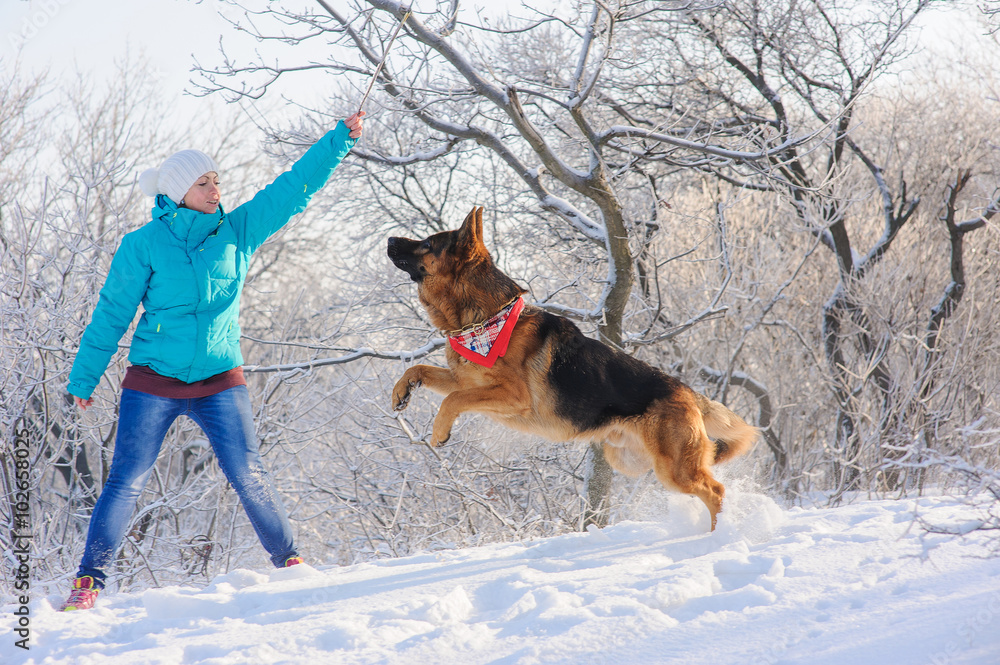 Girl trains her dog German Shepherd