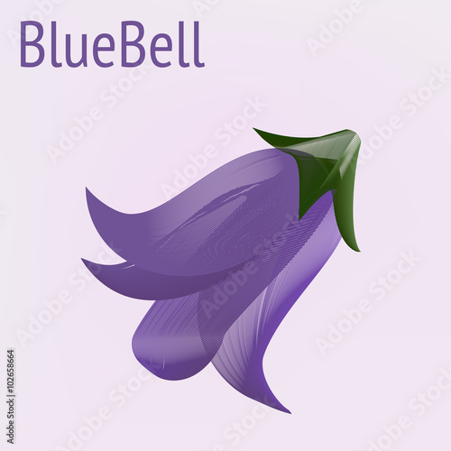 Vector bluebell