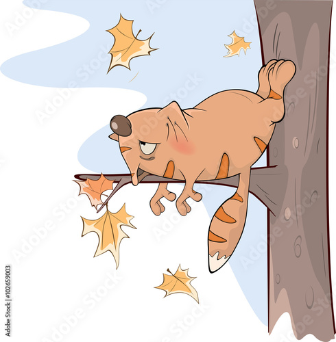  illustration of a cute cat cartoon