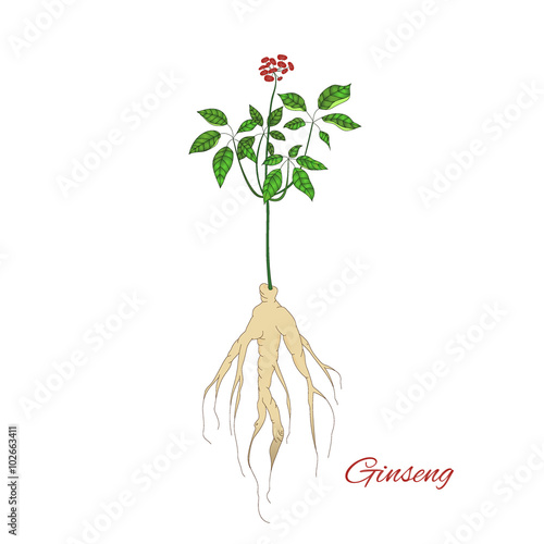 Medicinal plant