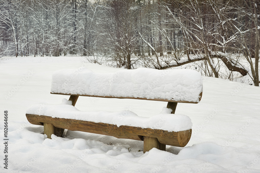 A snowy bench in the woods