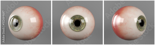 Realistic human eyeballs green iris pupil in three different sides
