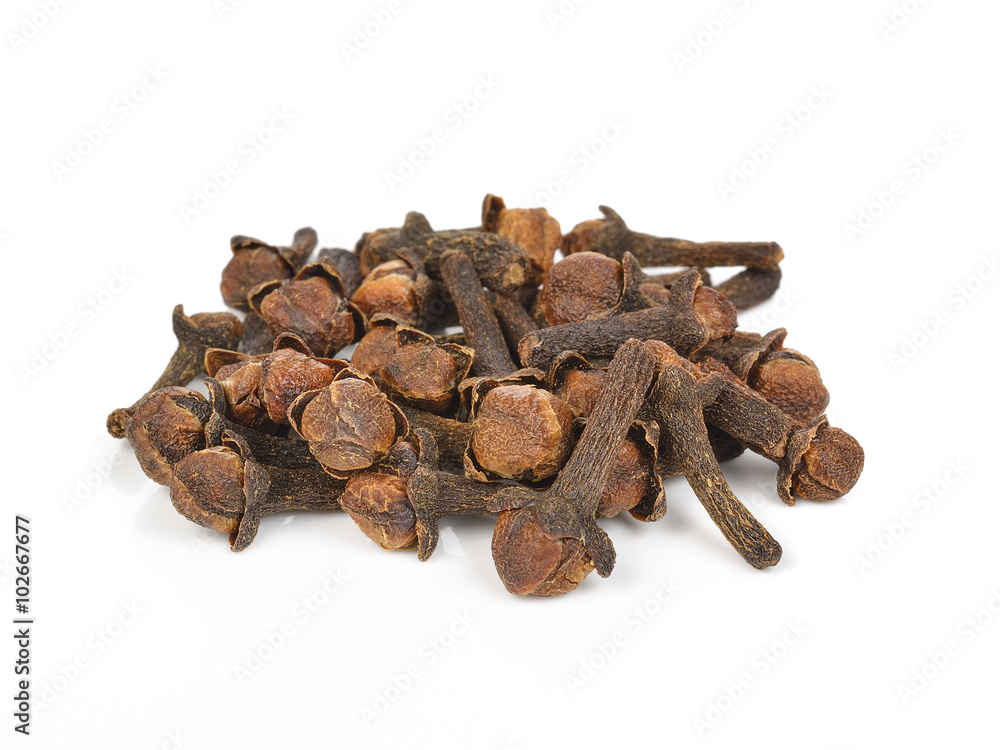 Spice cloves on white background Spice cloves on white background