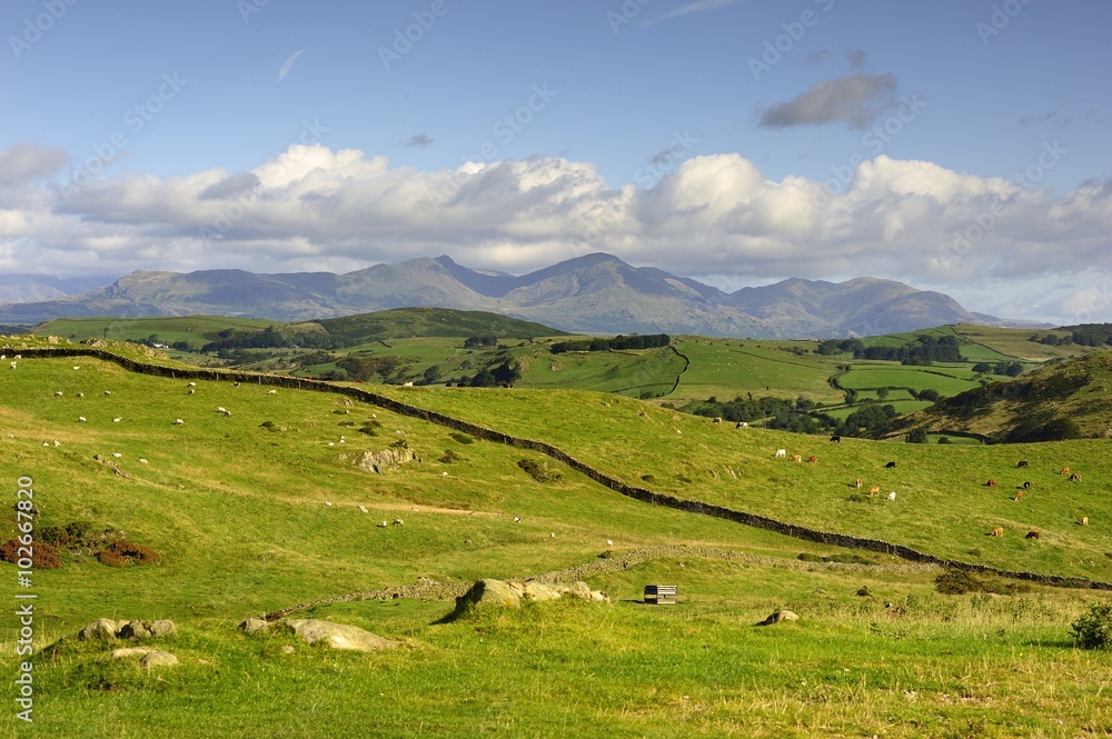 Naklejka premium The Old Man of Coniston
