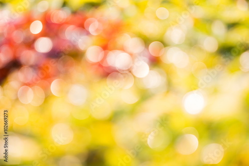 Bokeh background on green and red leaf. Element of design.