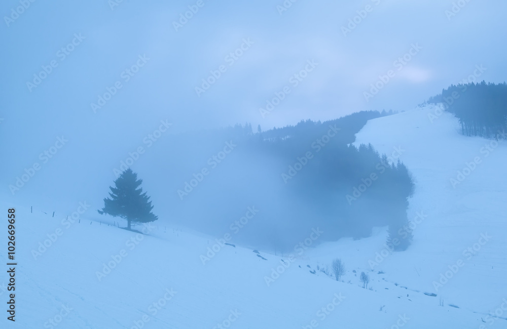 foggy morning in snowy mountains